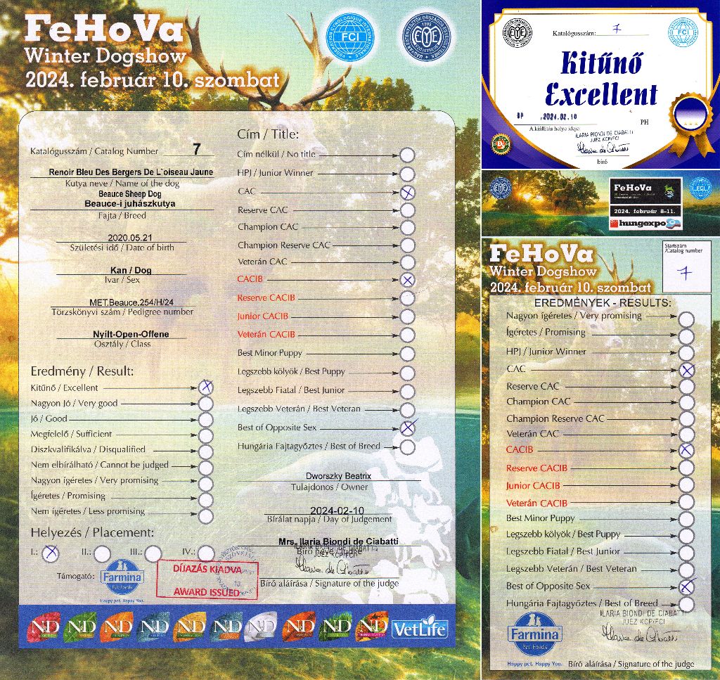 CH. Renoir bleu des Bergers de l'Oiseau Jaune - Nyílt osztály: Excellent 1, CAC, CACIB, BOS.