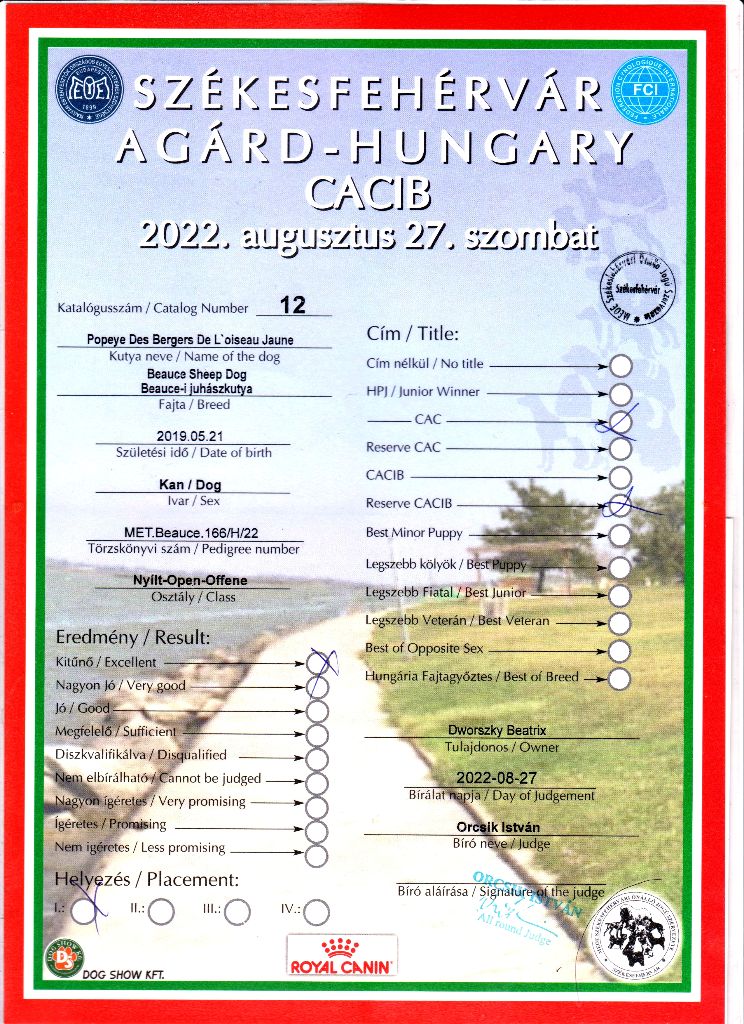 CH. Popeye des Bergers de l'Oiseau Jaune - Nyílt osztály: Excellent I, CAC, Res.CACIB.