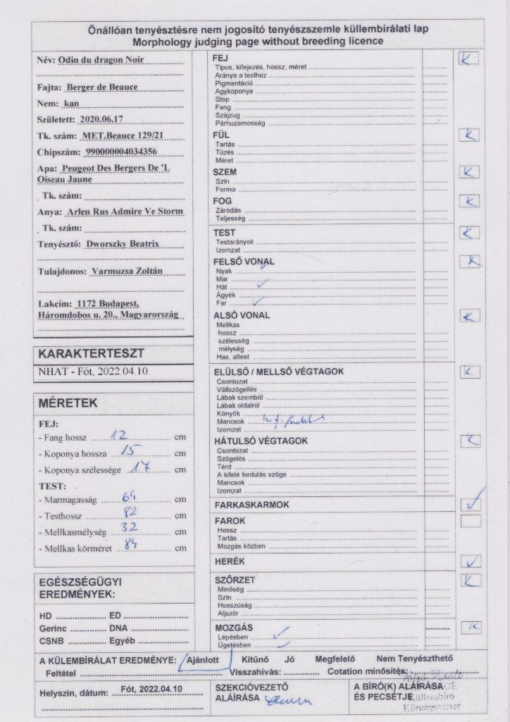 CH. Odin du Dragon Noir - Morphogia: Recommande
