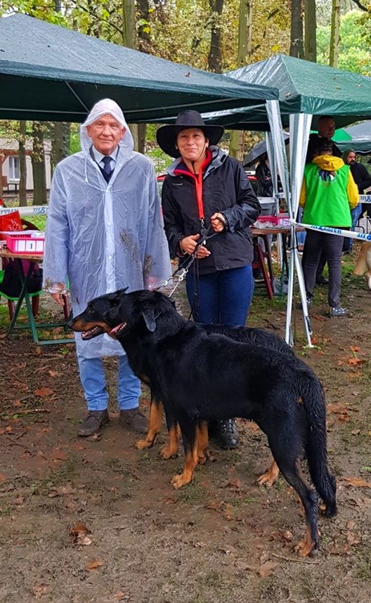 arlen rus Admire ve storm - Nyílt osztály: Excellent I, CAC, BOB.