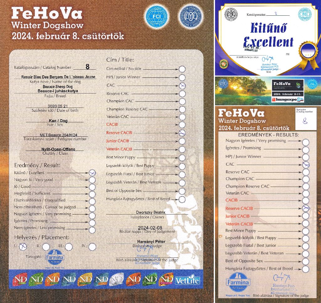 CH. Renoir bleu des Bergers de l'Oiseau Jaune - Nyílt osztály: Excellent 1, CAC, Res.CACIB.