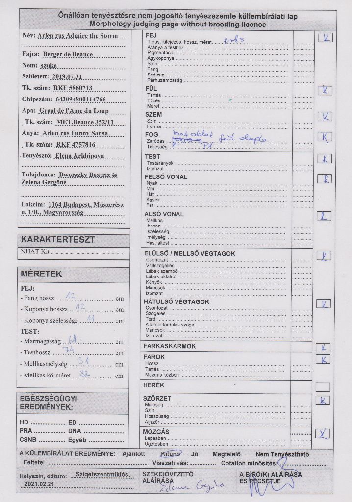 arlen rus Admire ve storm - Morphogia: Excellent, Karrakter: NHAT Excellent - Cot H 2 - Reconnu.