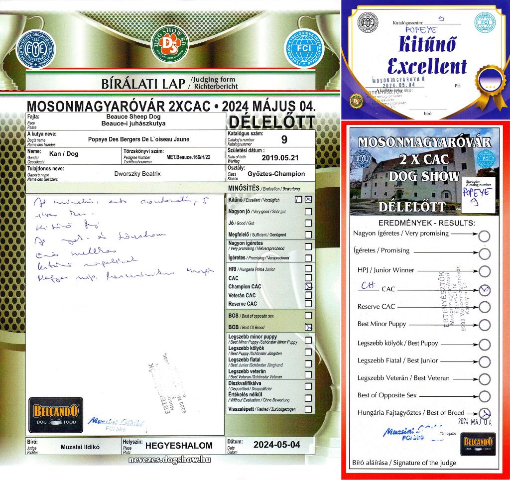 CH. Popeye des Bergers de l'Oiseau Jaune - Champion osztály: Excellent 1, CAC, BOB.