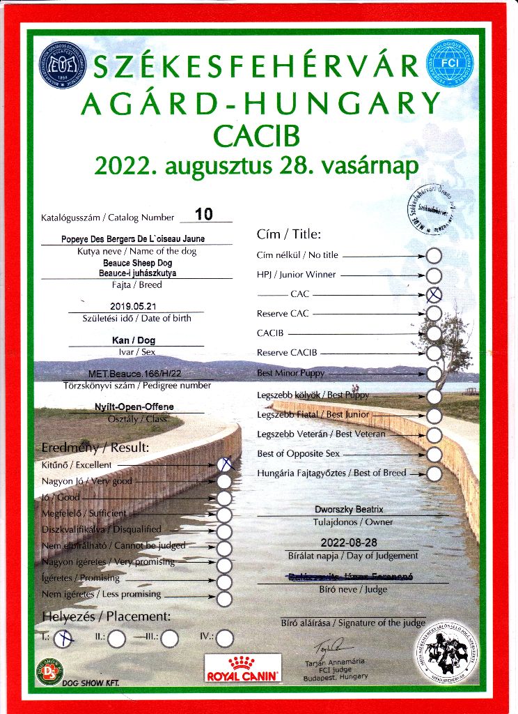 CH. Popeye des Bergers de l'Oiseau Jaune - Nyílt osztály: Excellent I, CAC.