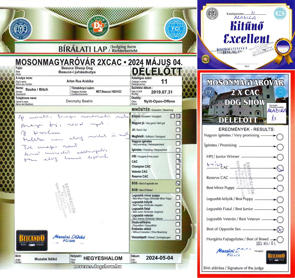 arlen rus Arabika - Nyílt osztály: Excellent 1, CAC, BOS.