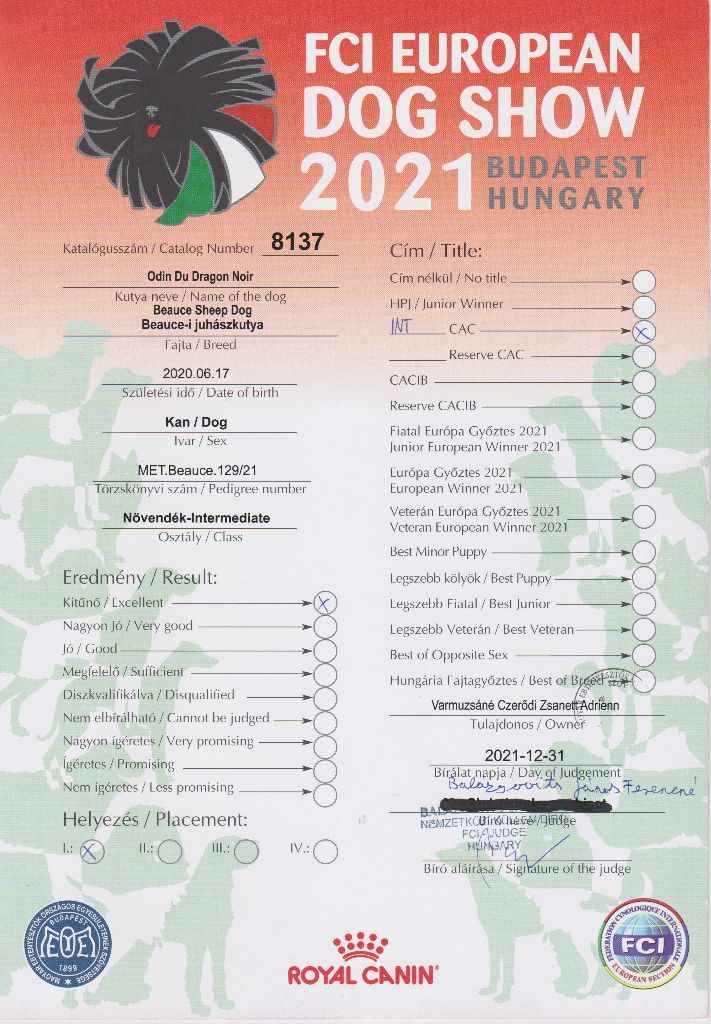 CH. Odin du Dragon Noir - Excellent 1, CAC,