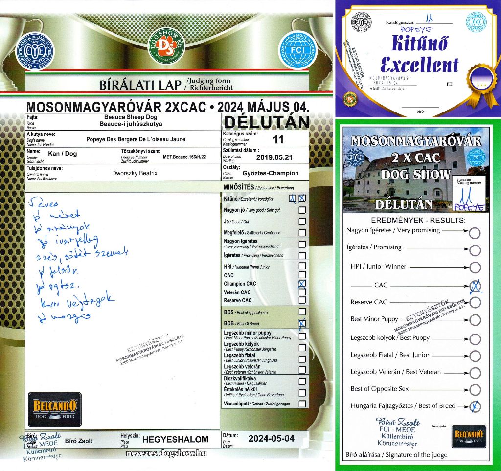 CH. Popeye des Bergers de l'Oiseau Jaune - Champion osztály: Excellent 1, CAC, BOB.