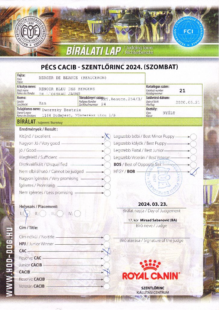 CH. Renoir bleu des Bergers de l'Oiseau Jaune - Nyílt osztály: Excellent 1, CAC, CACIB, BOB.