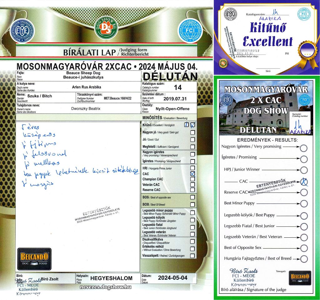arlen rus Arabika - Nyílt osztály: Excellent 1, CAC.