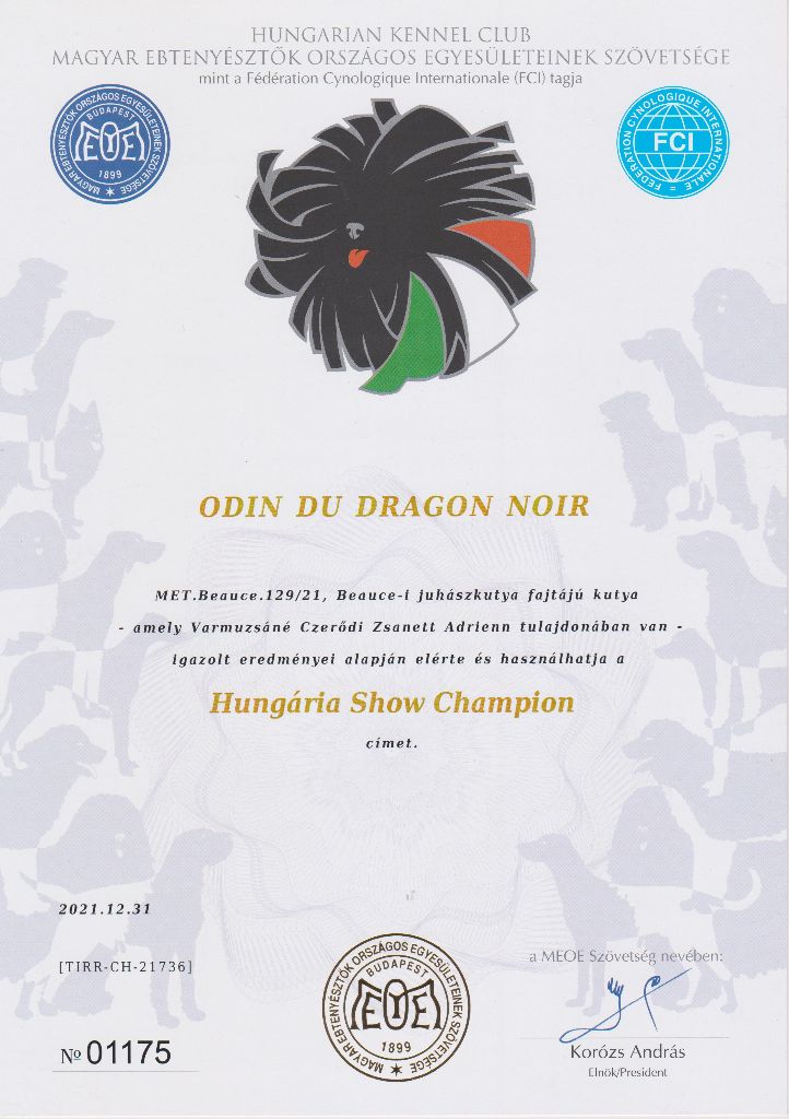 CH. Odin du Dragon Noir - Hungária Show Champion