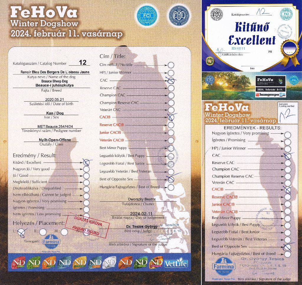 CH. Renoir bleu des Bergers de l'Oiseau Jaune - Nyílt osztály: Excellent 1, CAC, CACIB, BOS.