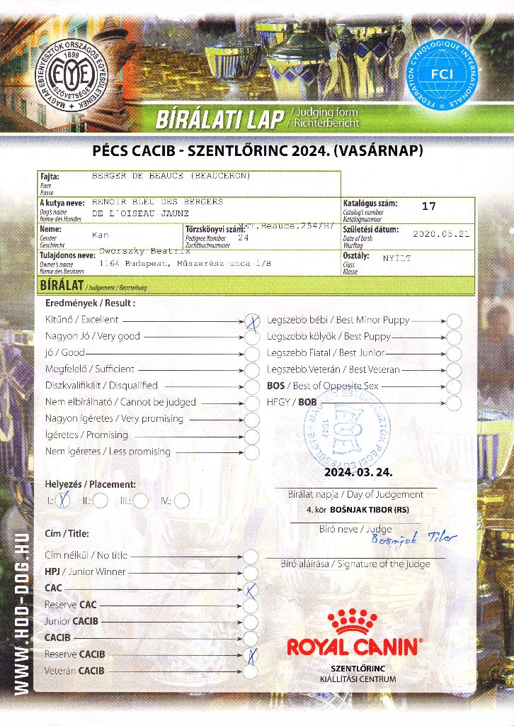 CH. Renoir bleu des Bergers de l'Oiseau Jaune - Nyílt osztály: Excellent 1, CAC, Res.CACIB.