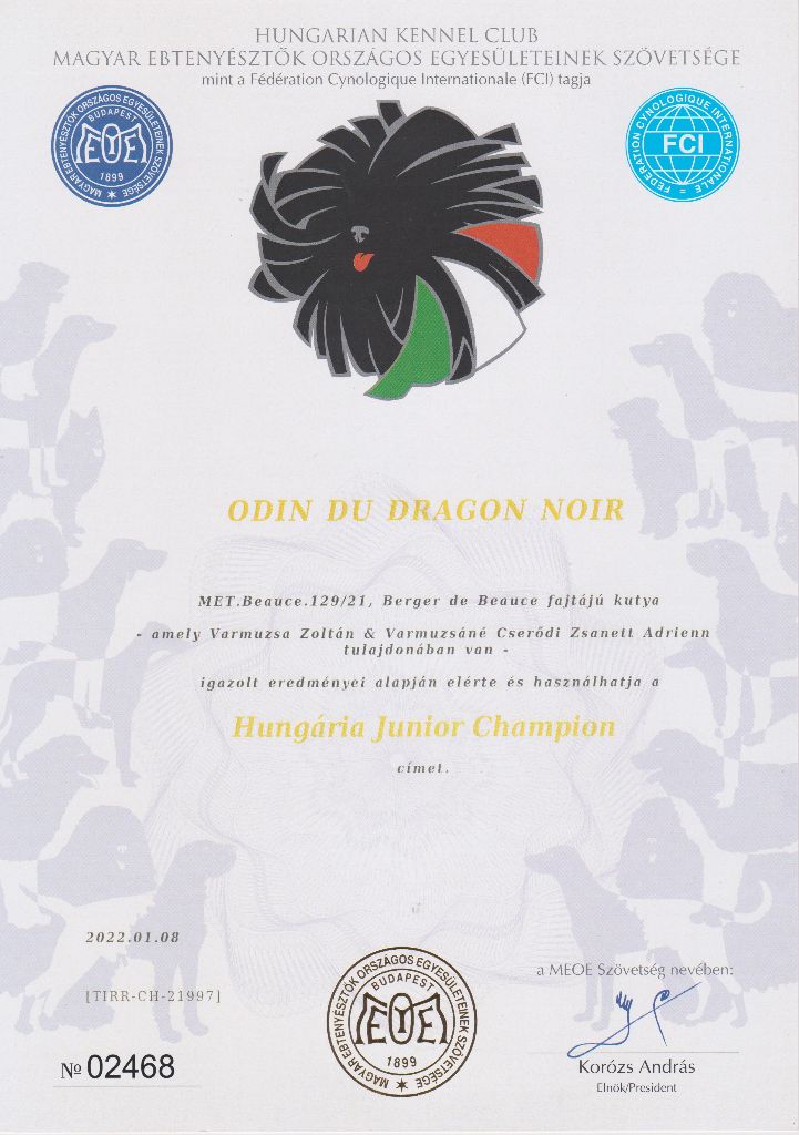 CH. Odin du Dragon Noir - Hungária Junior Champion