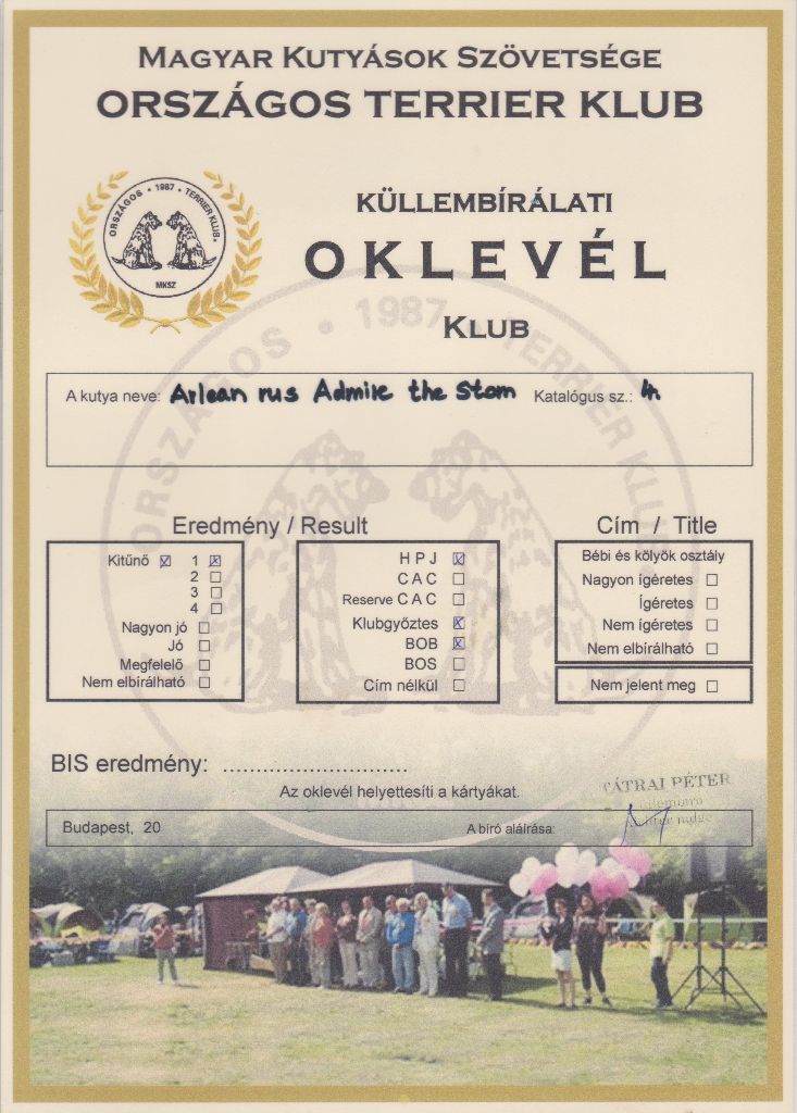 arlen rus Admire ve storm - Excellent 1, HPJ, BOB, Junior Club Winner,