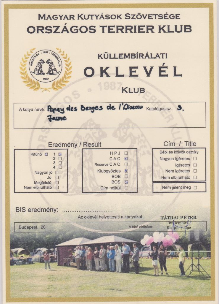 CH. Popeye des Bergers de l'Oiseau Jaune - Excellent 1, CAC, BOS, Clubwinner,