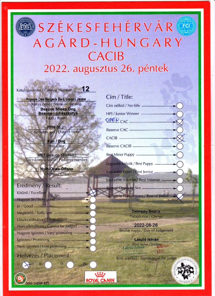 CH. Popeye des Bergers de l'Oiseau Jaune - Nyílt osztály: Excellent I, CAC, CACIB, BOB.
