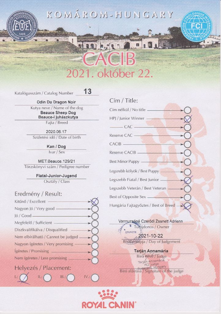 CH. Odin du Dragon Noir - Excellent 1, HPJ, BOB, Best Junior,