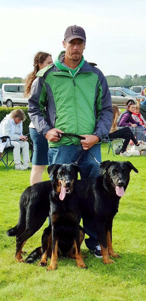 CH. Popeye des Bergers de l'Oiseau Jaune - Nyílt osztály: Excellent I, CAC, CACIB, BOB.