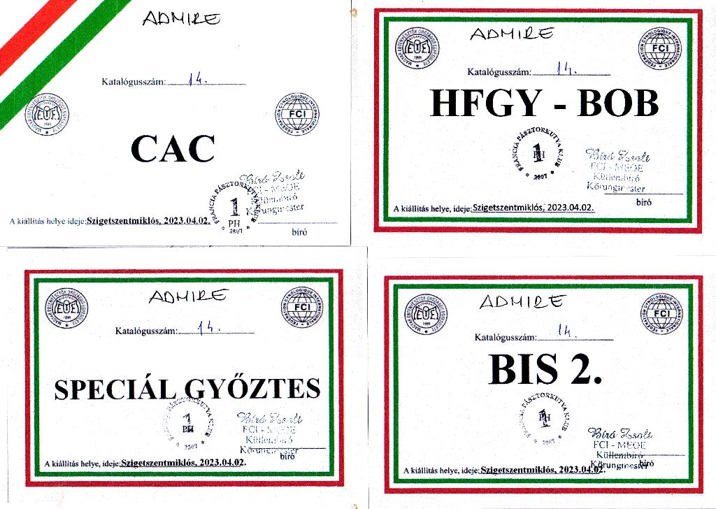 arlen rus Admire ve storm - Nyílt osztály: Excellent 1, CAC, BOB, FRPK SPGY, BIS 2.