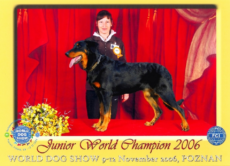 CH. Brille Des assiers - Junior class: Excellent 1, Junior World Champion
