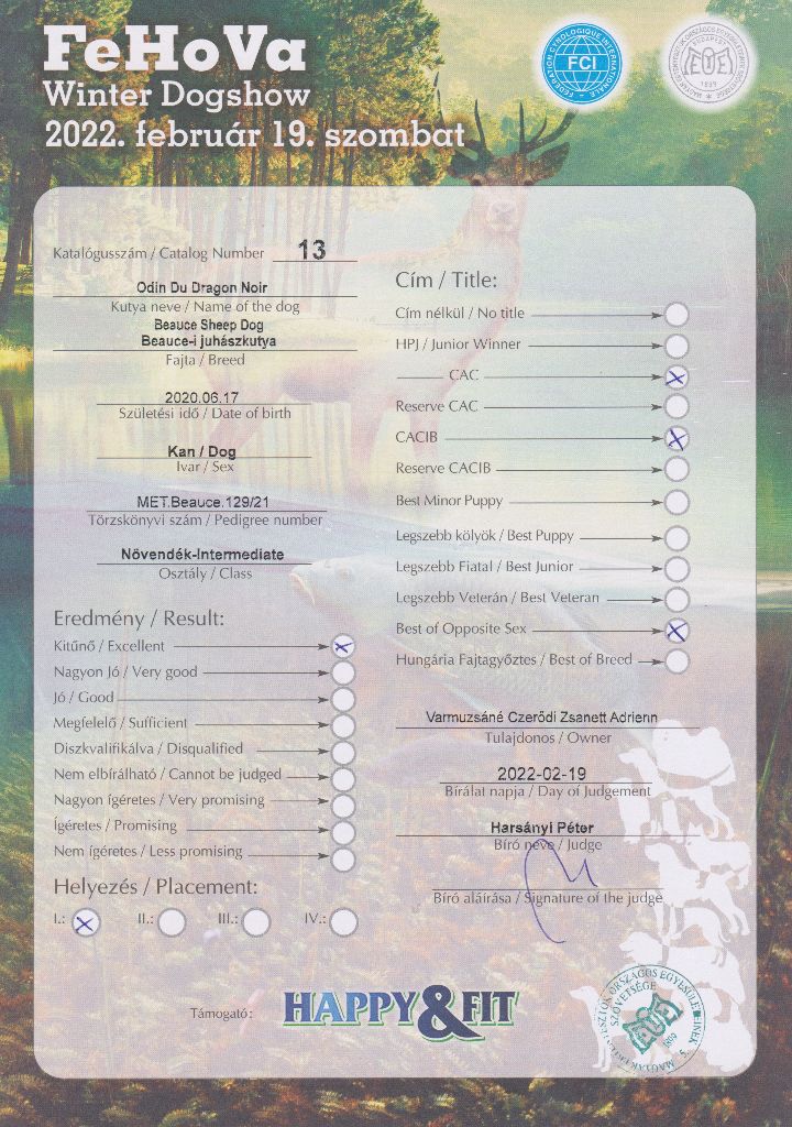 CH. Odin du Dragon Noir - Excellent 1, CAC, CACIB, BOS,