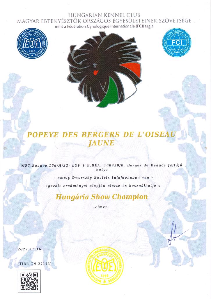 CH. Popeye des Bergers de l'Oiseau Jaune - Hungária Show Champion