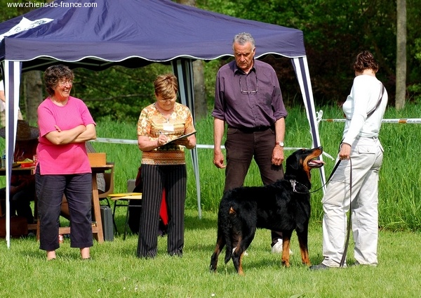 CH. Brille Des assiers - Cot4 en cours