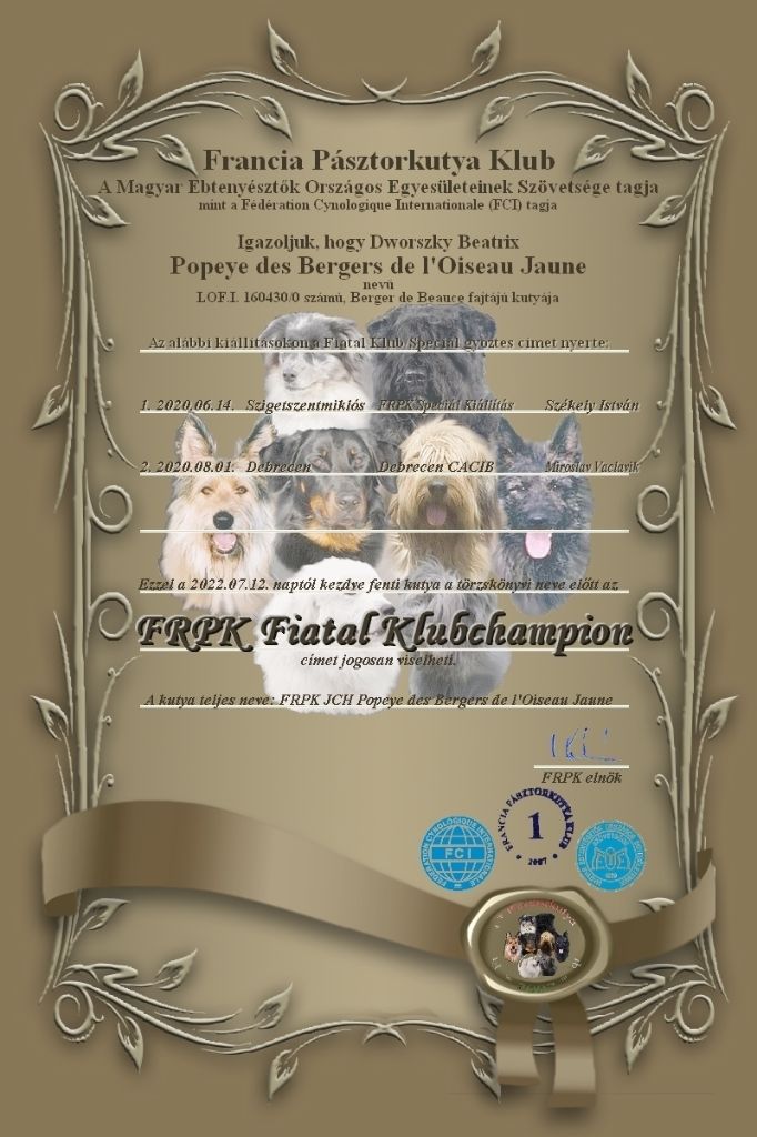 CH. Popeye des Bergers de l'Oiseau Jaune - FRPK Junior Club Champion