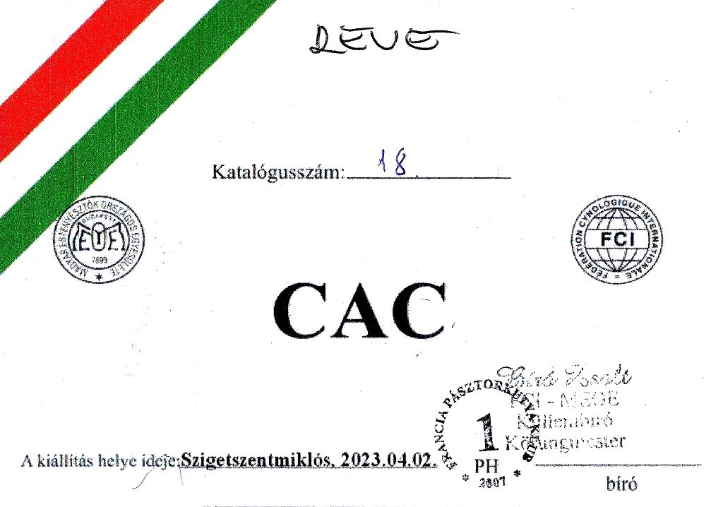 CH. Reve bleue des Bergers de l'Oiseau Jaune - Champion osztály: Excellent 1, CAC.