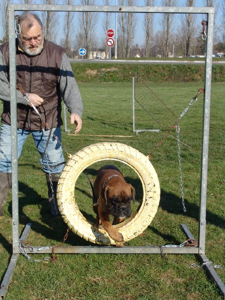 Publication : des Petits Bois de Crève-Coeur Auteur : propriétaire