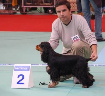 Blacktan baccarat de la Loire aux Roses Mayas - 2 exc Classe Ouverte