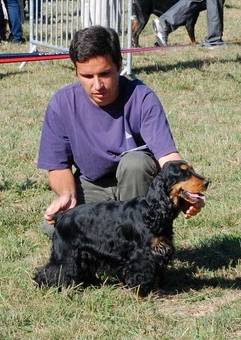 Blacktan baccarat de la Loire aux Roses Mayas - 1er Exc Classe ouverte CACS