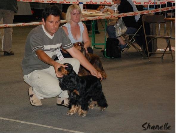 Blacktan baccarat de la Loire aux Roses Mayas - 2 exc en classe ouverte