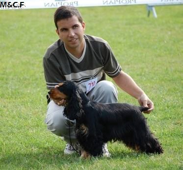 Blacktan baccarat de la Loire aux Roses Mayas - RCACS 2eme excellent classe ouverte