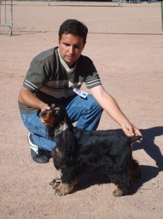 Blacktan baccarat de la Loire aux Roses Mayas - 1er Exc Classe ouverte CACS