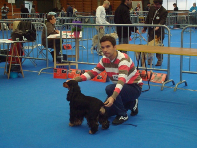 Blacktan baccarat de la Loire aux Roses Mayas - CACS 1er Exc Classe Ouverte fem noires