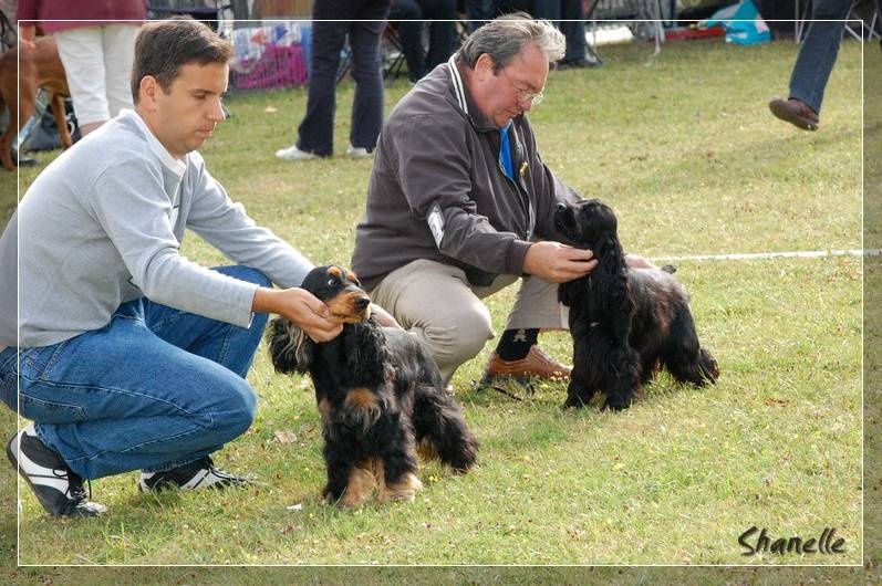 Blacktan baccarat de la Loire aux Roses Mayas - 1exc CACS Classe ouverte