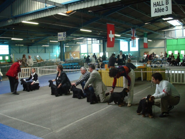 Blacktan baccarat de la Loire aux Roses Mayas - 6eme TB