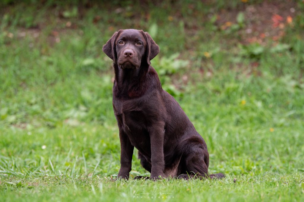 Publication : Hunting Friend