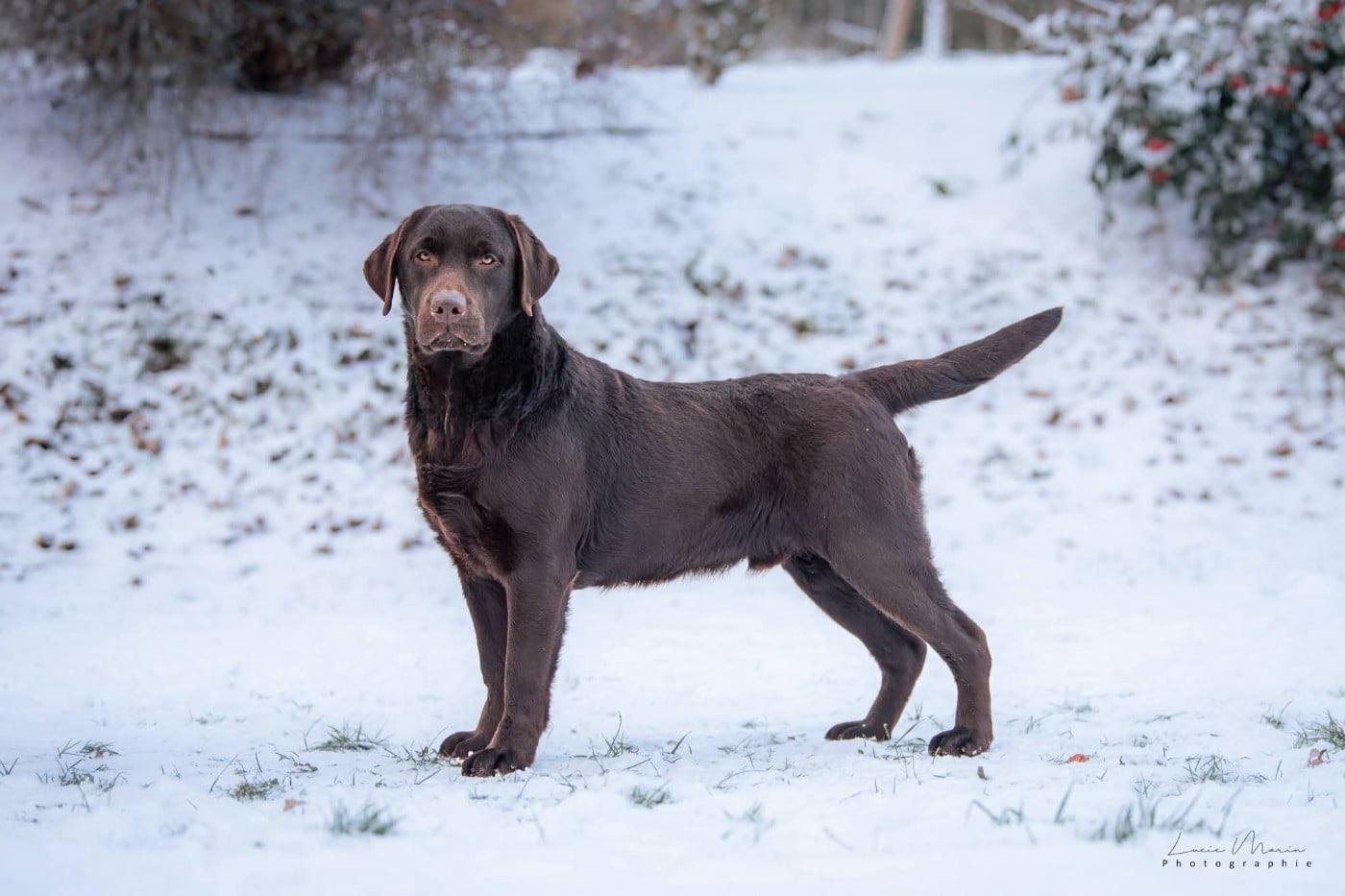 merakistone Even all of me