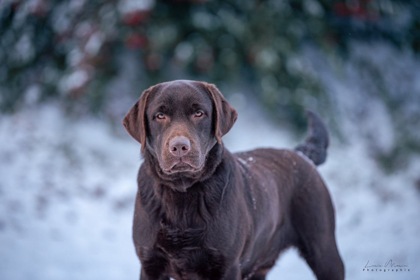 merakistone Even all of me