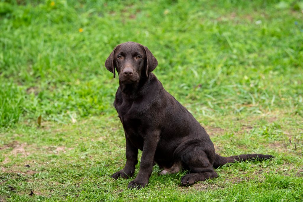 merakistone Even all of me