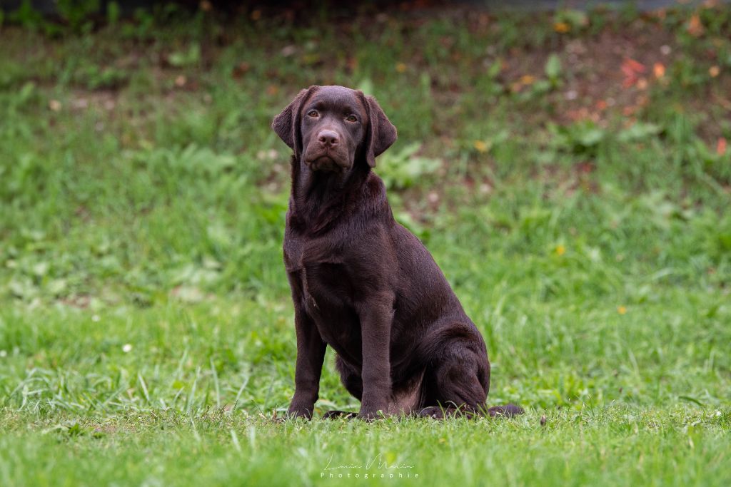 Publication : Hunting Friend