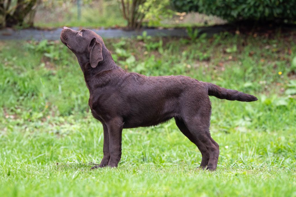 Publication : Hunting Friend