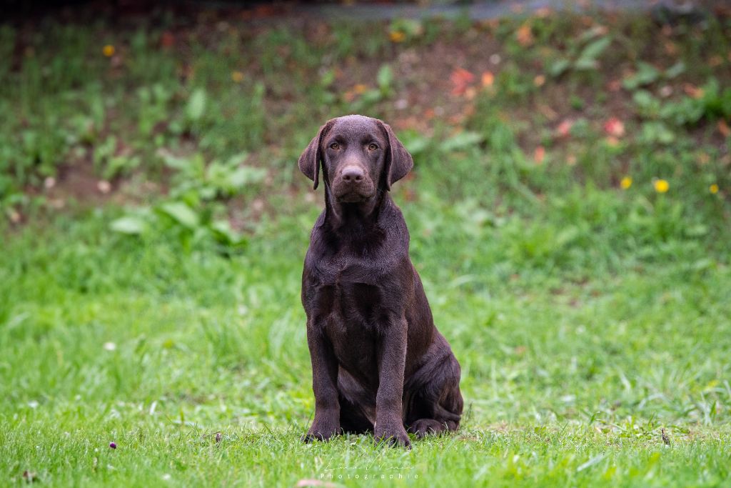 merakistone Even all of me