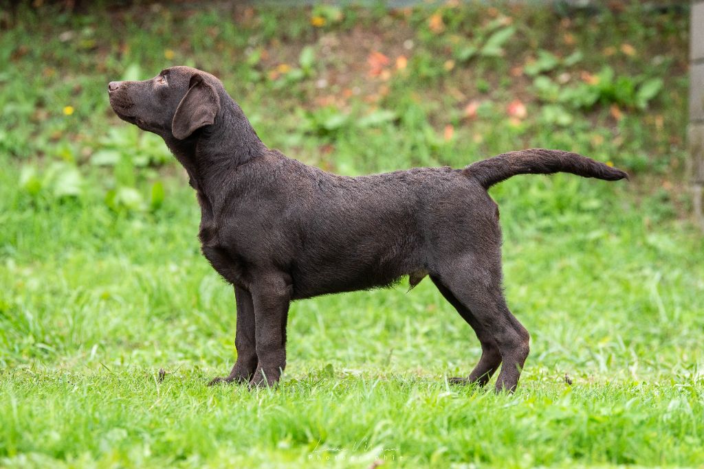 merakistone Even all of me