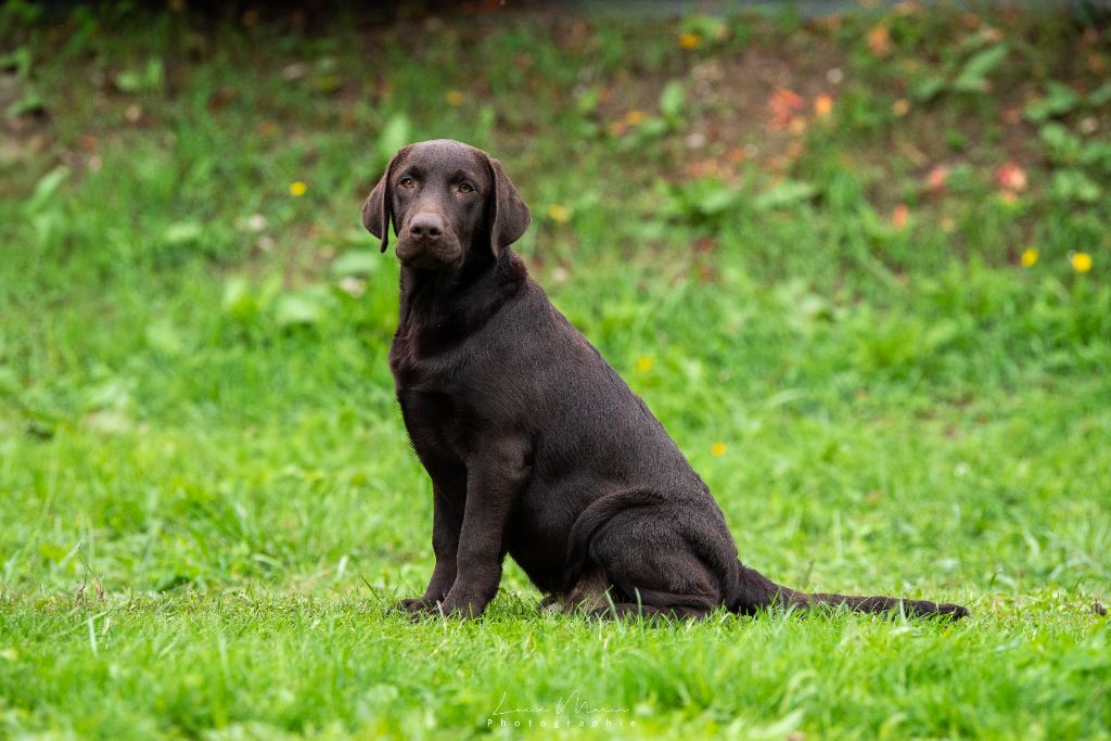 merakistone Even all of me