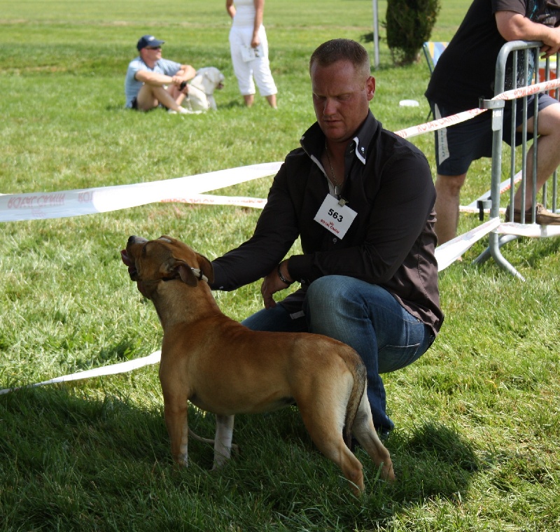 First love des Etoiles de Gallilée - 2 ème excellent en jeune