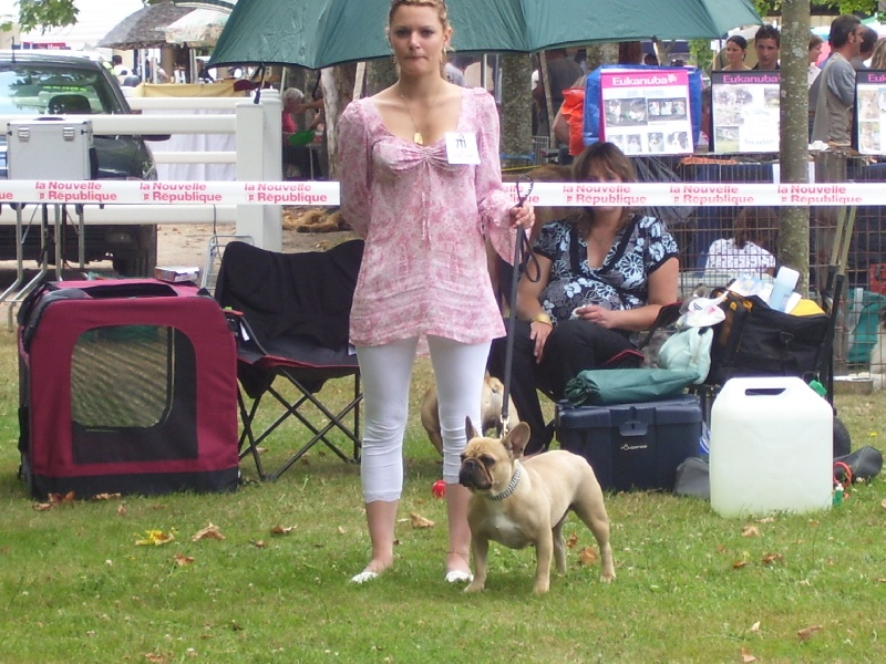 Bambou du Chien Beauté