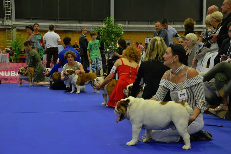 monterey diamand Best absolute - excellent